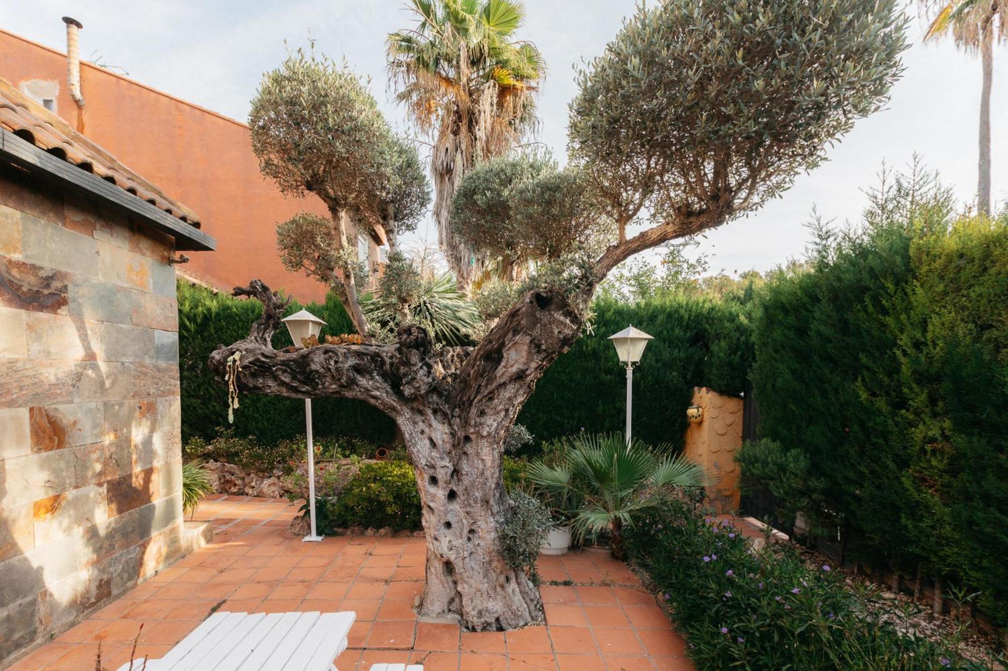 Chalet, Villa Rodeada De Naturaleza Piscina A Doce Klm De Valencia Y 7 Del Aeropuerto Valência Exterior foto